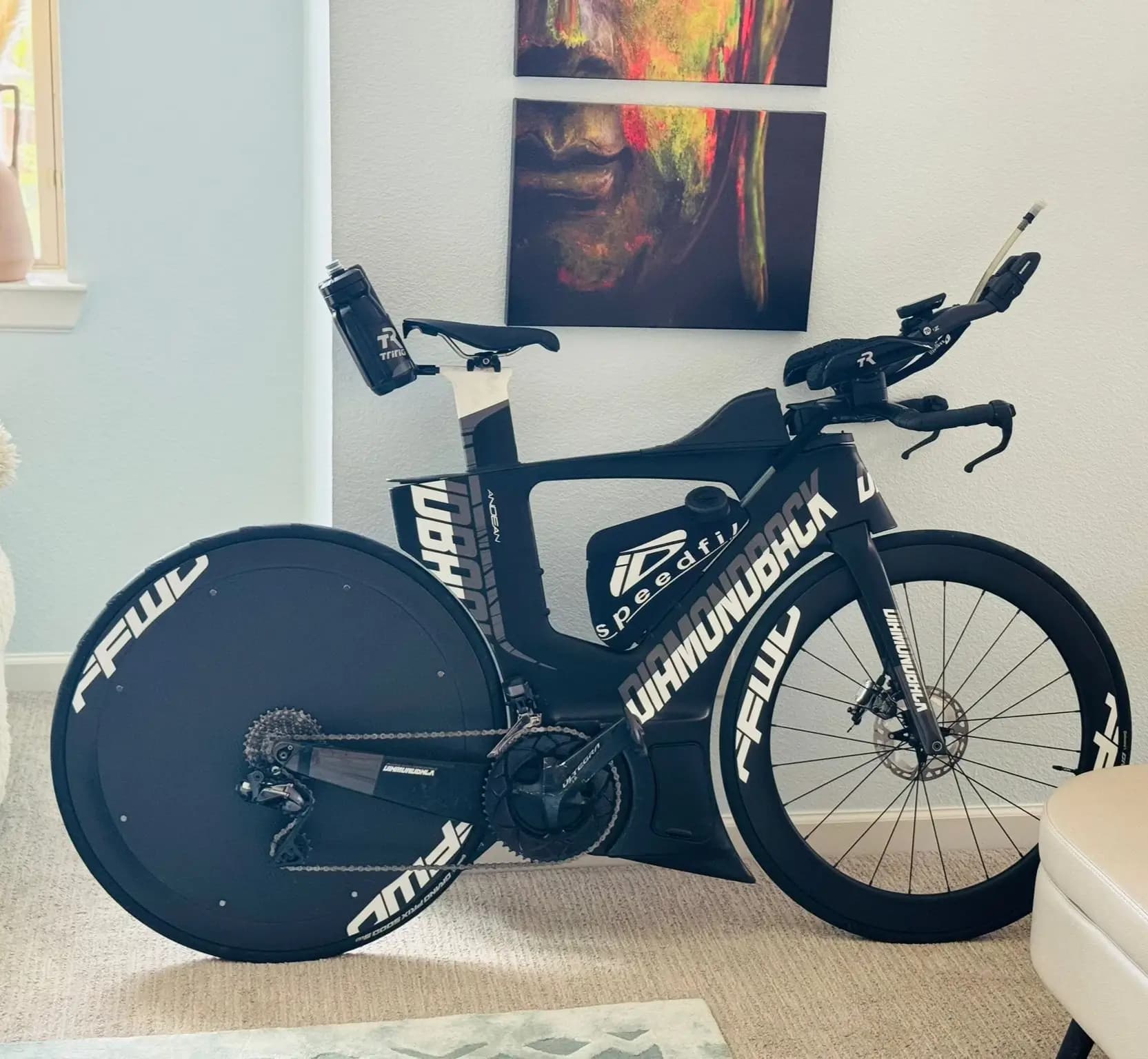 Carbon disc wheel cover lightweight construction detail.